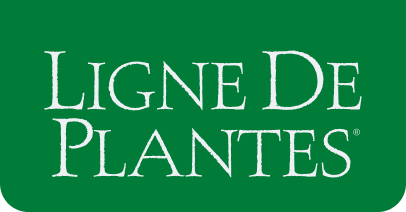 Ligne De Plantes
